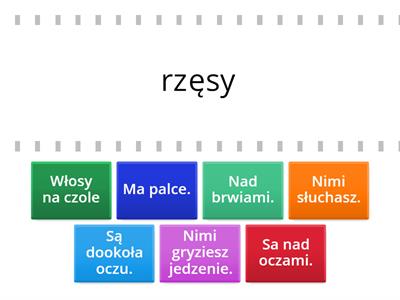 Części ciała