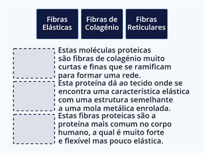 Matriz Extracelular