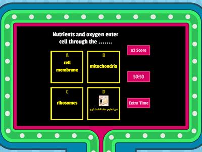 امتحان multiple choice on concept 1,2 (school book)للصف السادس الابتدائي فن العلوم عماد الششتاوي 