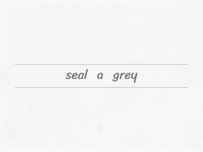 A/An + прилагательное + существительное