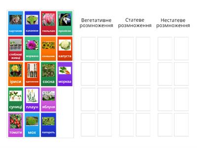 Розмноження рослин 6 класс