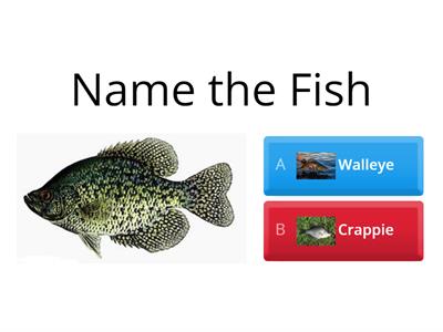 Fishing Quiz