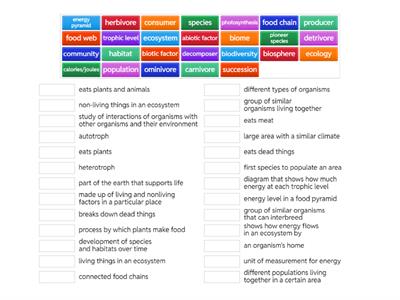 Ecosystems and Energy Flow Vocabulary
