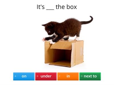 in, on, under, next to