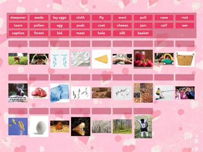 primary path 1 unit 7