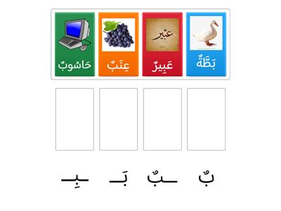 أشكال حرف الباء