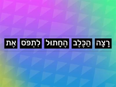 סדר מילים במשפט