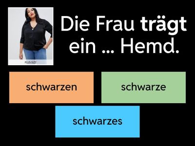 Spektrum Deutsch A1.K. 8 /  Adjektivdeklination - AKKUSATIV 