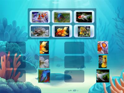 Чий хвостик?