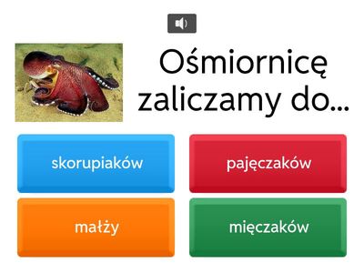 Bezkręgowce - 6 klasa 