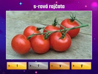 Vyjmenovaná slova po S