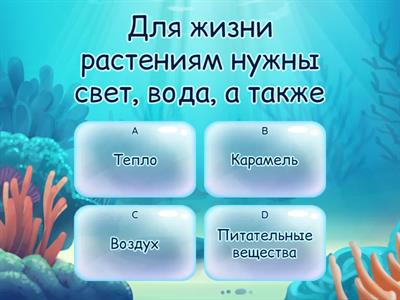 Человек и мир Водоросли