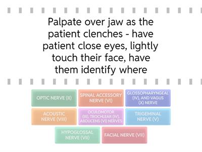 *NEW*Cranial Nerve Function