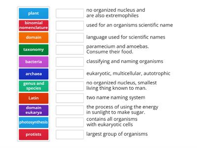 Classification/Taxonomy
