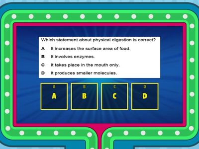 The digestive system 
