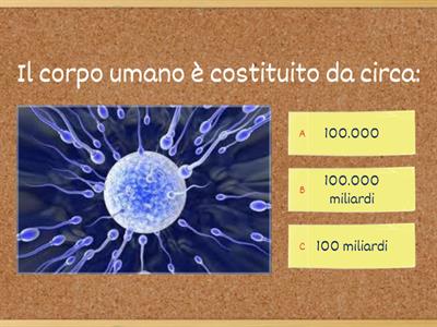 Ripasso sulla CELLULA (classe 5°)