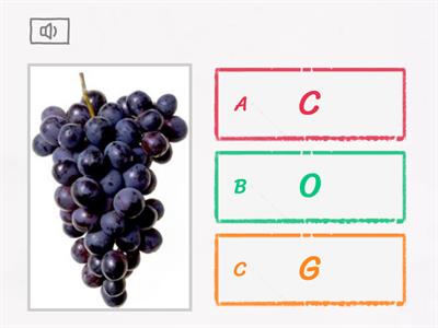 Initial Sounds G,O,C