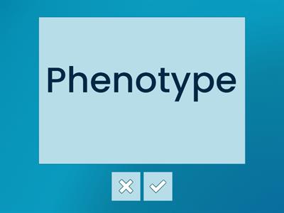 Heredity - Flash Cards [Pure Bio]