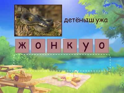 Детёныши животных 2