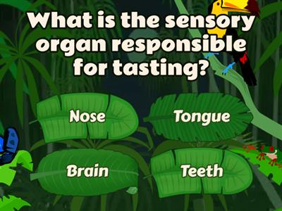 Taste & Texture - (Upper-Intermediate)