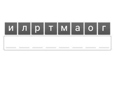 Информатика