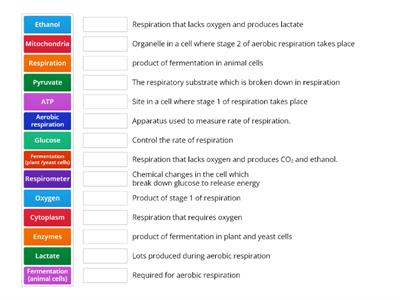 Cellular Respiration (N5)