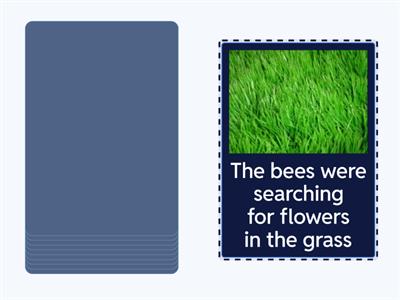 IS: /s/ Articulation Deck sentences multi target