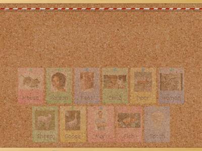 Singular and Plural Nouns 