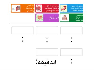 الجهاز الهضمي