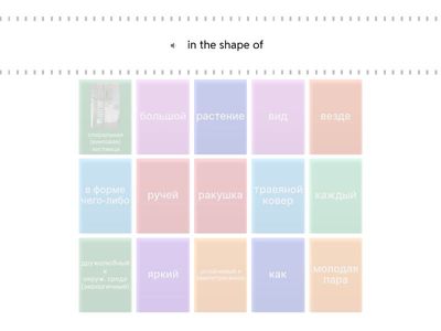  life in a shell starlight 5 2a ч3