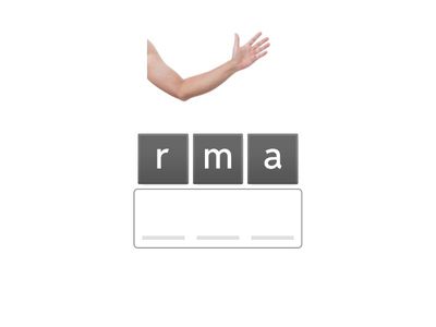 Parts of the body A1