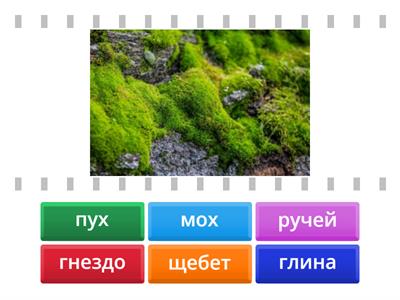 Крылов 4 кл стр15