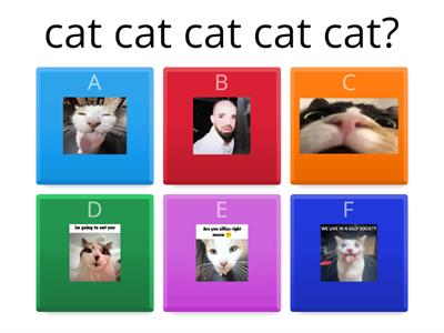 CAT CAT CAT, CAT CAT, CAT CAT