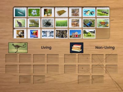 Living or Non-Living?