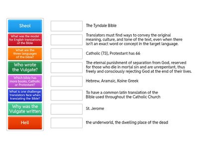 Bible in Translation