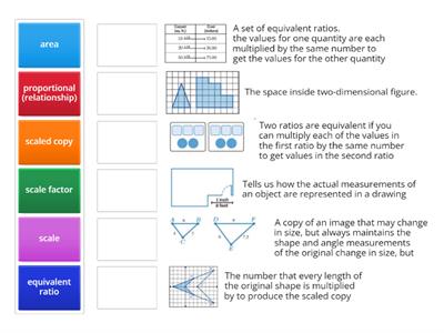 Amplify Scale Copies vocabulary 