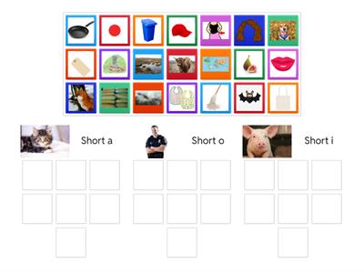 Short a/o/i Medial Vowel Sort