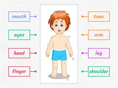 Body Parts ESL