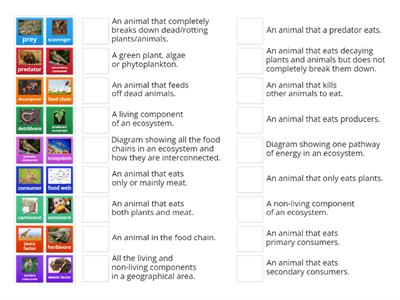 Year 7 Biology: Ecosystems Vocabulary