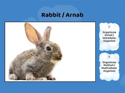 KUIZ SAINS TINGKATAN 1 UNISEL & MULTISEL