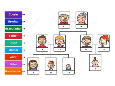 Family Tree