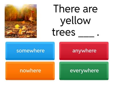 somewhere / any /  no / every