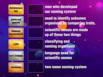 Classification/Taxonomy