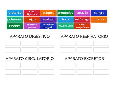 APARATOS CUERPO HUMANO