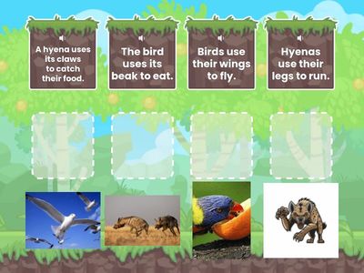 A bird uses/ Birds use 