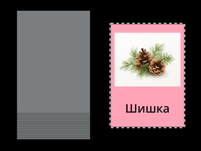 Картки звук "Ш"