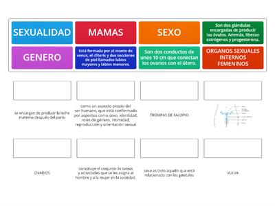 ciencias