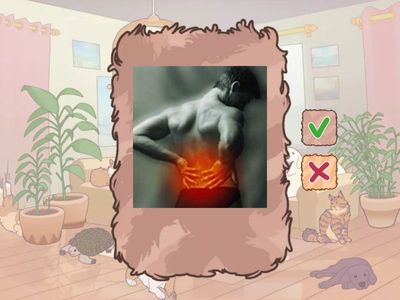 Problemi di salute e consigli: imperativo (A1b)