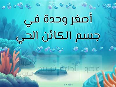 مستويات التنظيم في المخلوقات الحية