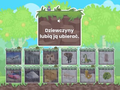 Głoska S wyrazy nagłos-zagadki